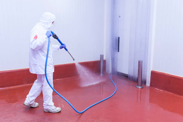 Reliable East Greenville, PA Pressure Washing Services Solutions